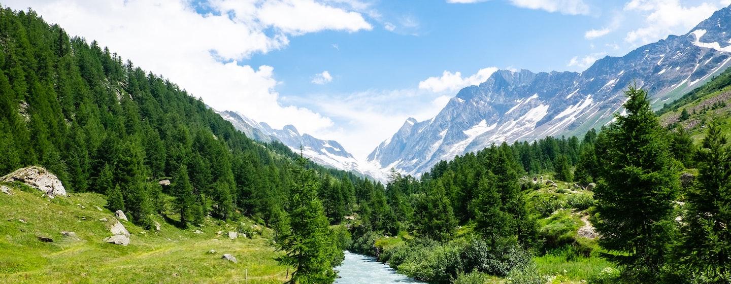Wide view of a Swiss valley with pine forests and mountains